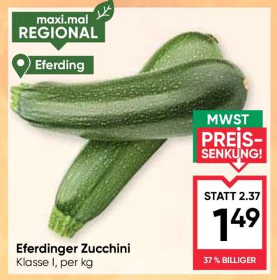 Eferdinger Zucchini