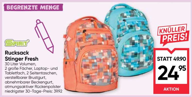 Rucksack Stinger Fresh