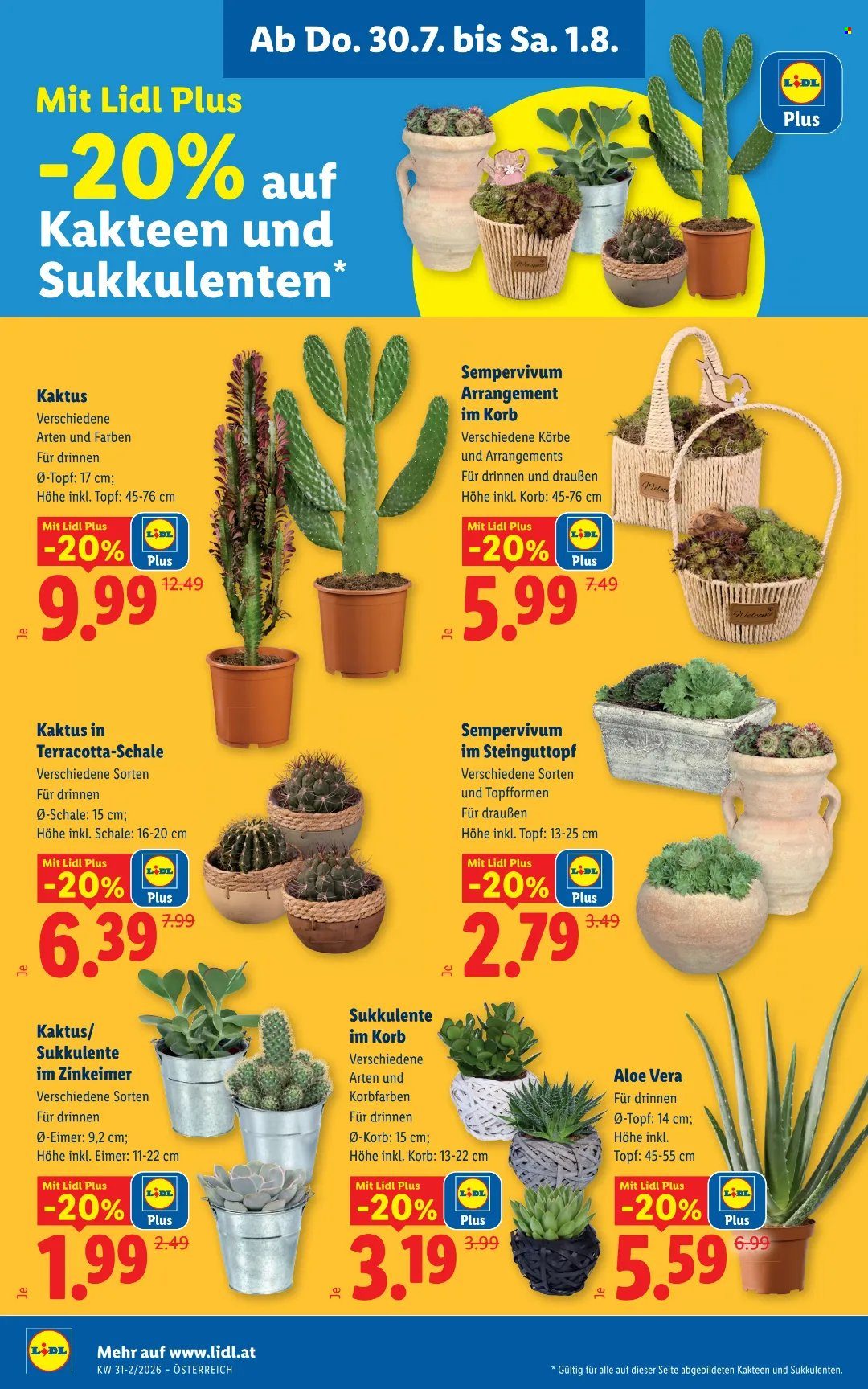 Angebote Lidl - 30.7.2026 - 5.8.2026. Seite 26