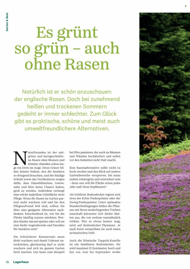 Angebote Lagerhaus. Seite 16