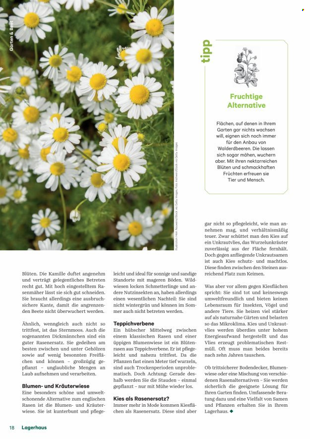 Angebote Lagerhaus. Seite 18