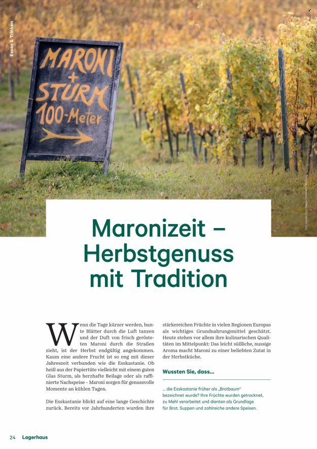 Angebote Lagerhaus. Seite 24