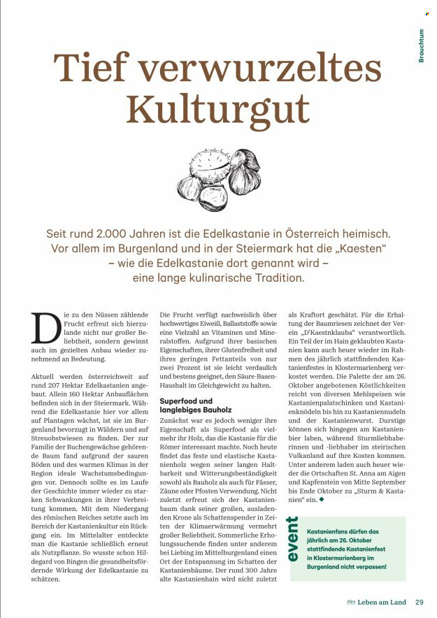 Angebote Lagerhaus. Seite 29