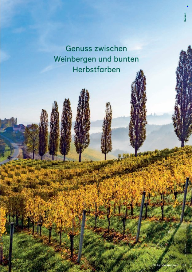 Angebote Lagerhaus. Seite 37