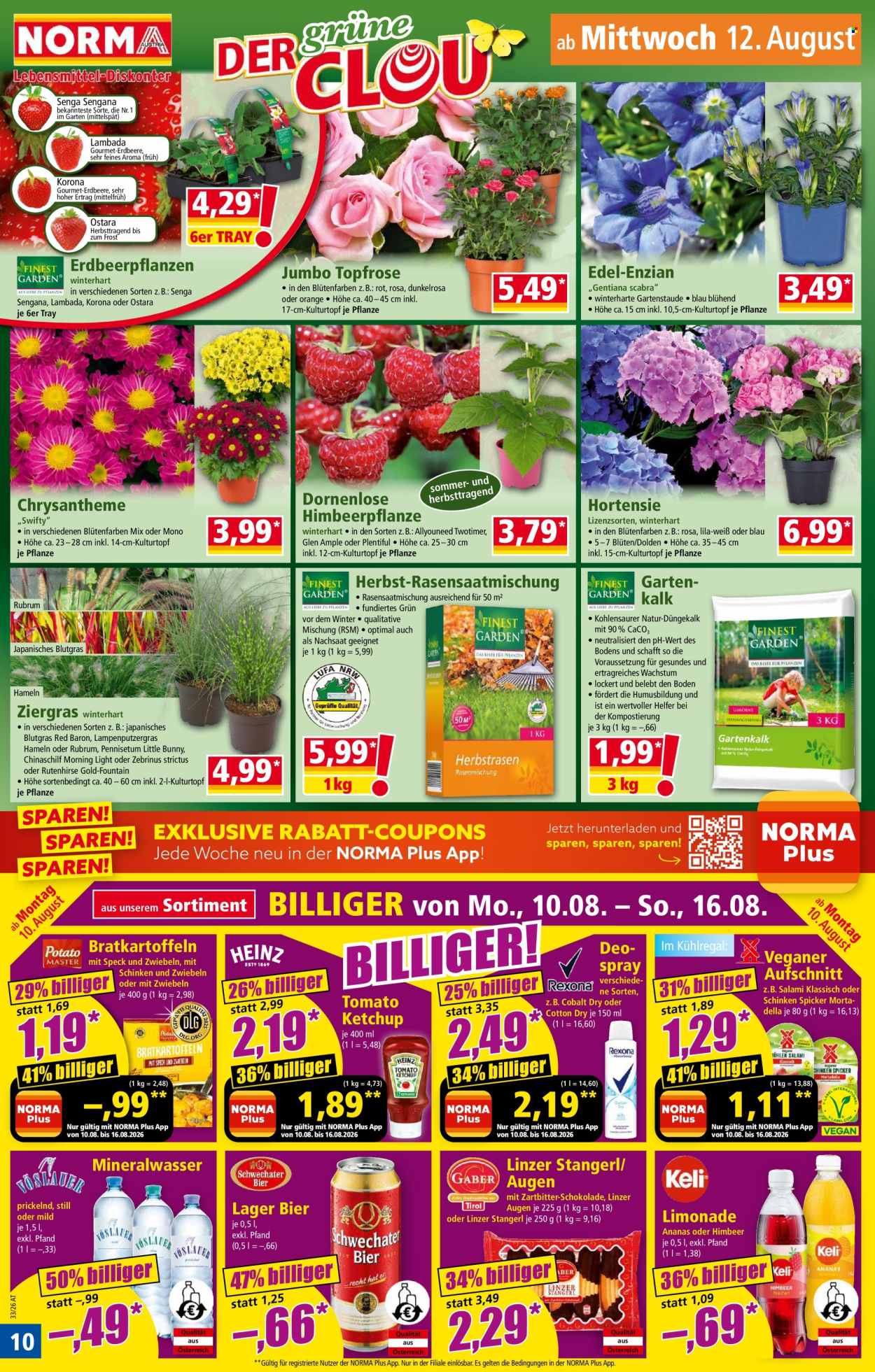 Angebote Norma - 10.8.2026 - 15.8.2026. Seite 10