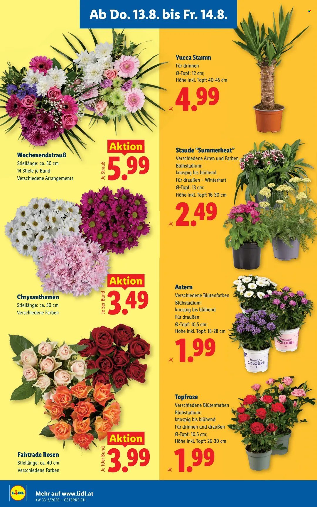 Angebote Lidl - 13.8.2026 - 19.8.2026. Seite 26