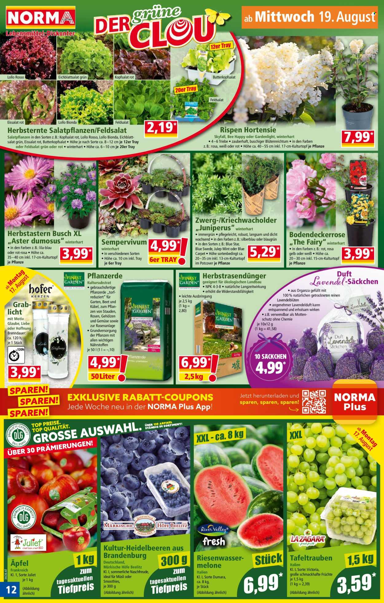Angebote Norma - 17.8.2026 - 22.8.2026. Seite 12