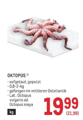 OKTOPUS