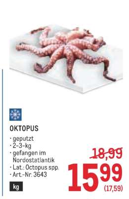 OKTOPUS