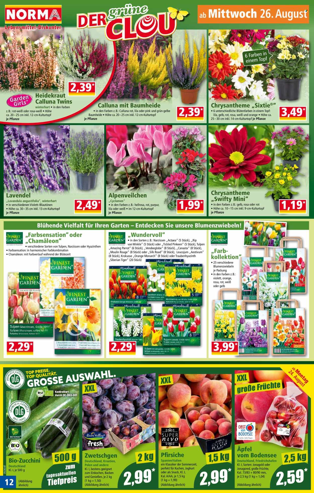 Angebote Norma - 24.8.2026 - 29.8.2026. Seite 12