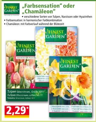 „Farbsensation“ oder „Chamäleon“