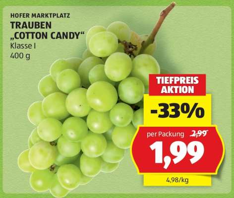 TRAUBEN „COTTON CANDY“