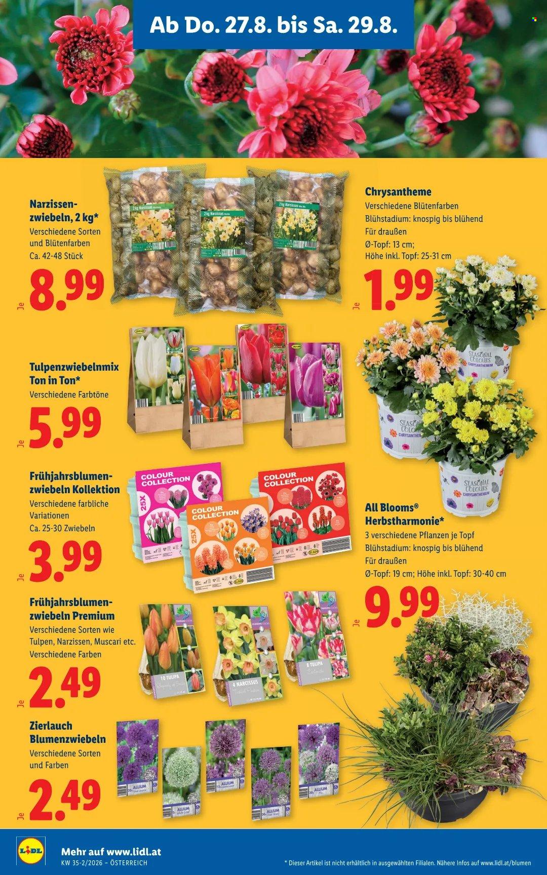 Angebote Lidl - 27.8.2026 - 2.9.2026. Seite 26