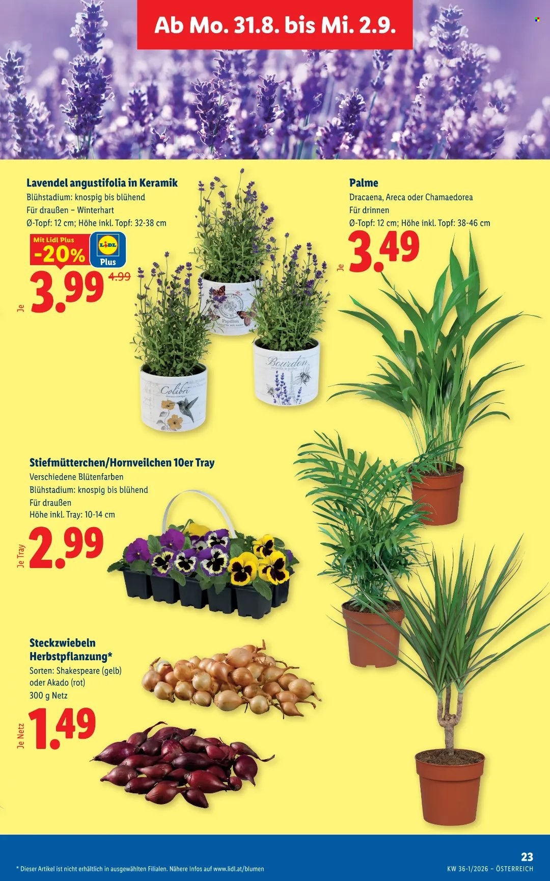 Leták Lidl - 27.8.2026 - 2.9.2026. Strana 30