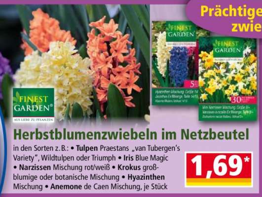 Herbstblumenzwiebeln im Netzbeutel