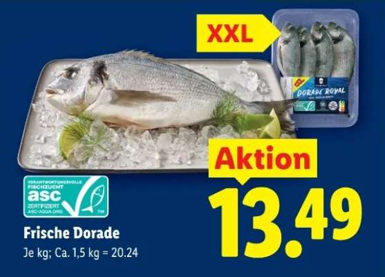 Frische Dorade