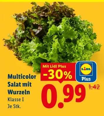 Multicolor Salat mit Wurzeln