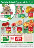 leaflet