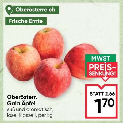 Oberösterr. Gala Äpfel