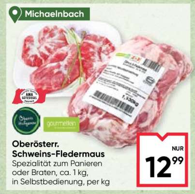 Oberösterr. Schweins-Fledermaus