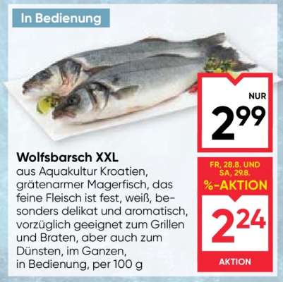 Wolfsbarsch XXL