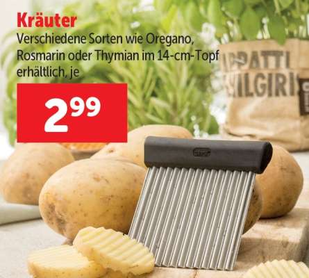 Kräuter