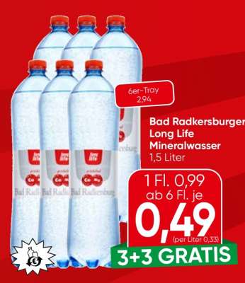 Bad Radkersburger Long Life Mineralwasser
