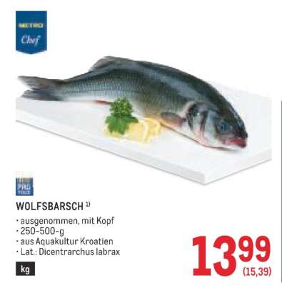 WOLFSBARSCH
