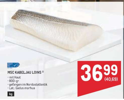 MSC KABELJAU LOINS
