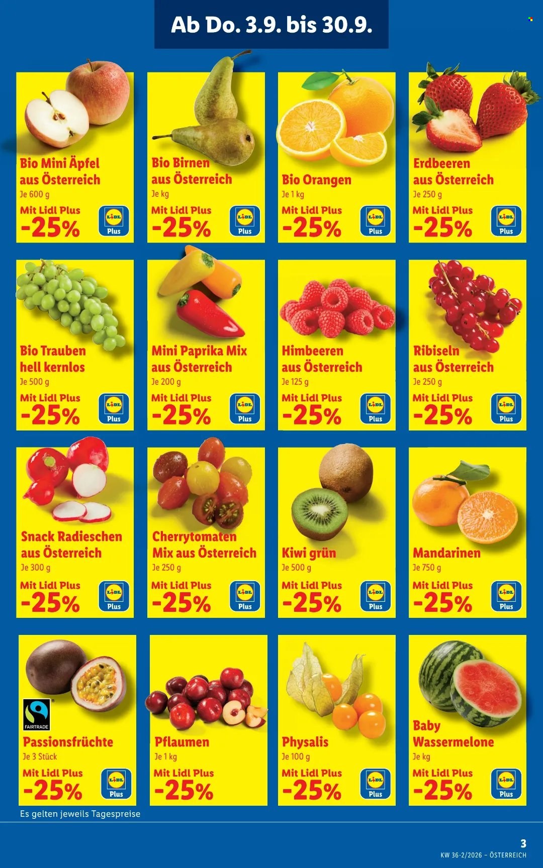 Leták Lidl - 3.9.2026 - 9.9.2026. Strana 3