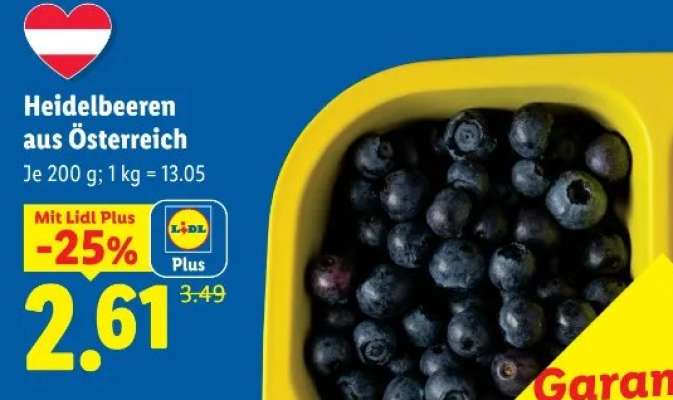HEIDELBEEREN AUS ÖSTERREICH