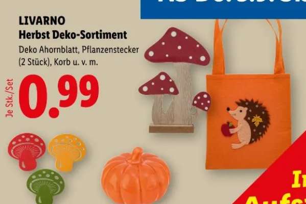 LIVARNO Herbst Deko-Sortiment