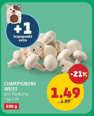 Champignons weiß