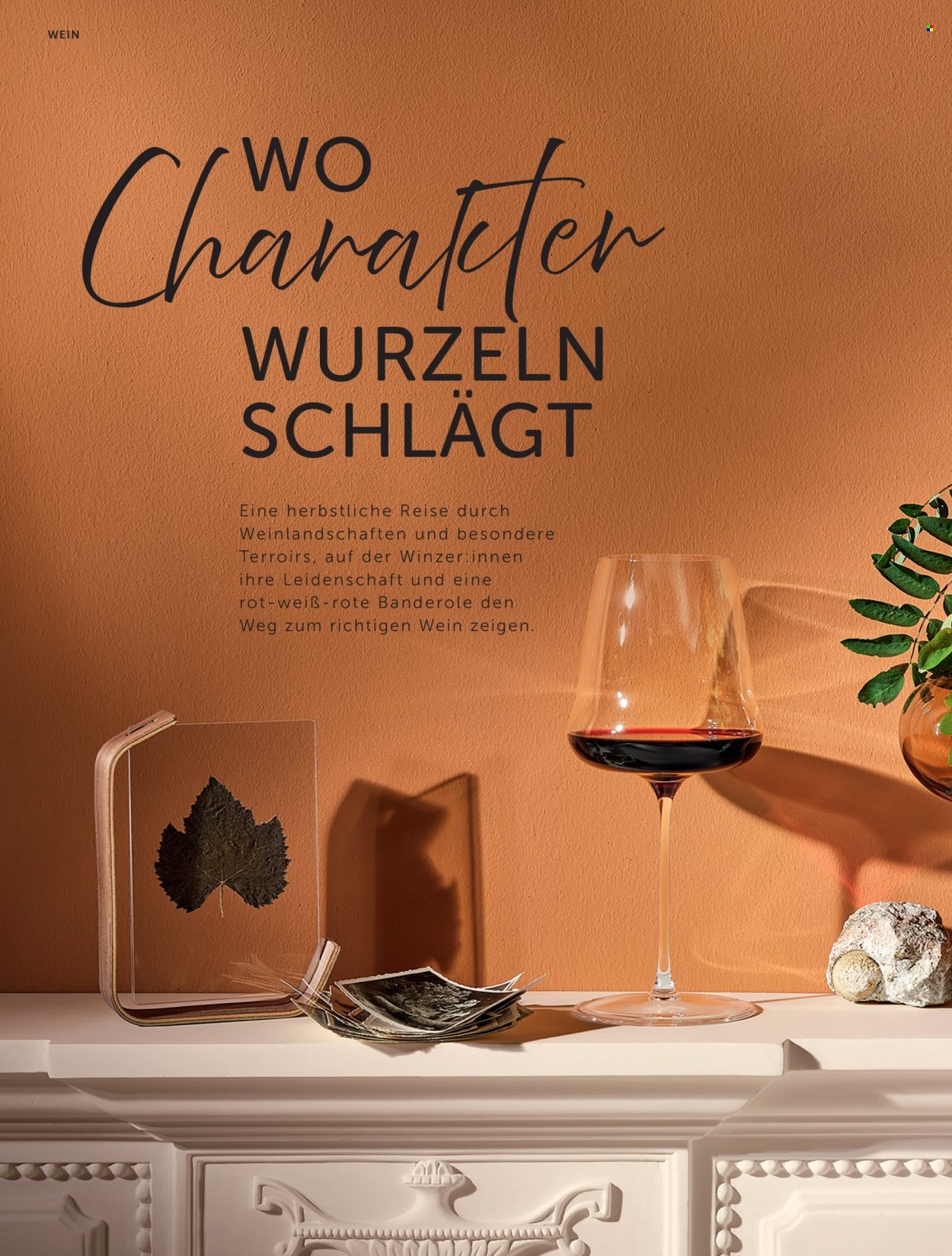 Angebote INTERSPAR - 9.9.2026 - 9.12.2026. Seite 6