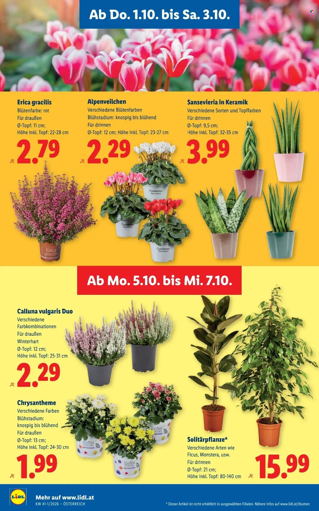 Angebote Lidl - 1.10.2026 - 7.10.2026. Seite 30