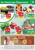 leaflet