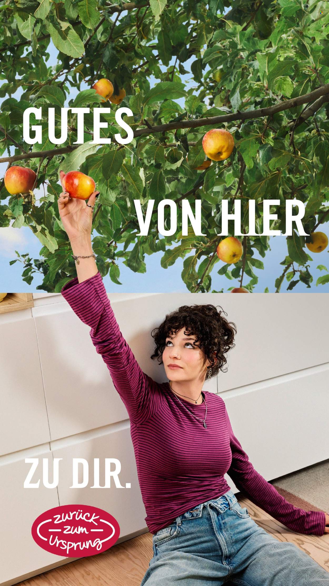 Angebote Hofer - 2.10.2026 - 8.10.2026. Seite 51