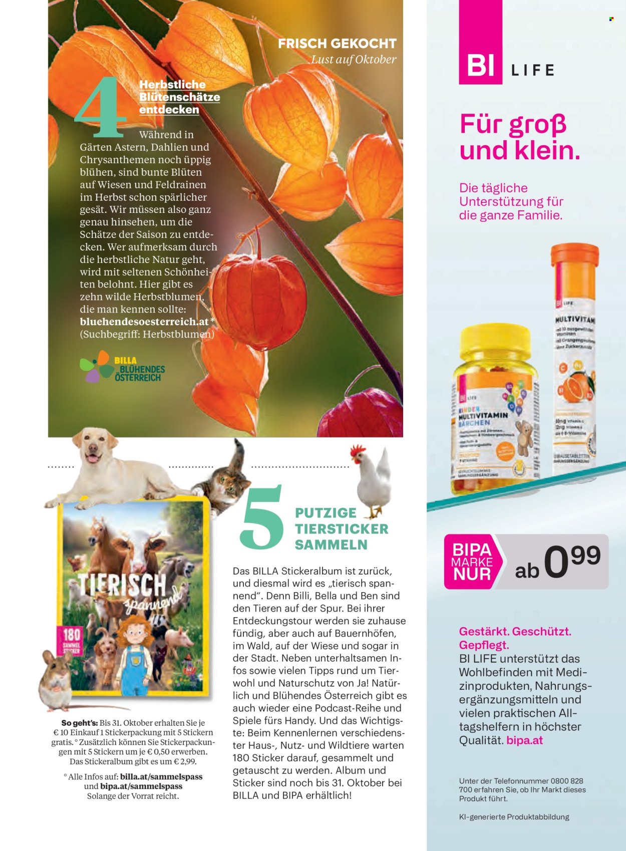 Leták Billa. Strana 15