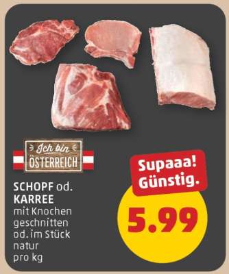 SCHOPF od. KARREE