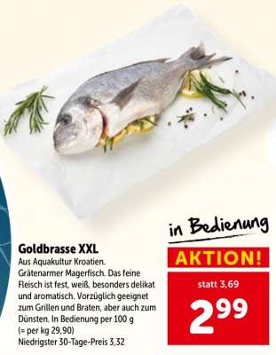 Goldbrasse XXL