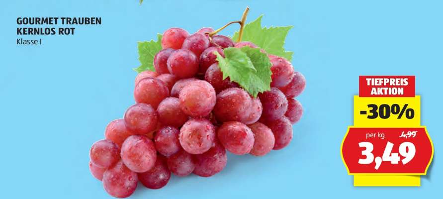 GOURMET TRAUBEN KERNLOS ROT