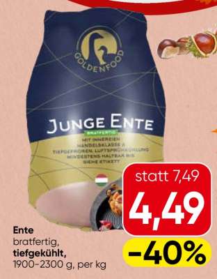 JUNGE ENTE
