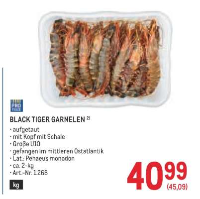 BLACK TIGER GARNELEN