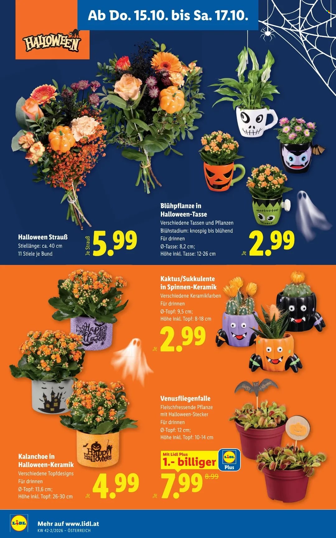 Angebote Lidl - 15.10.2026 - 21.10.2026. Seite 24