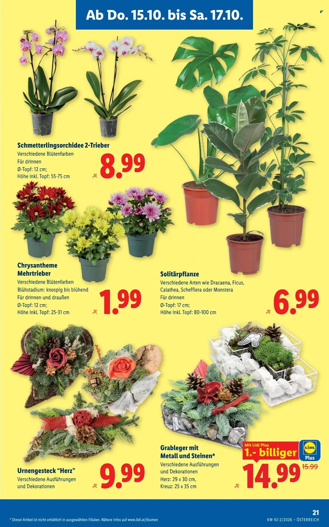 Angebote Lidl - 15.10.2026 - 21.10.2026. Seite 25
