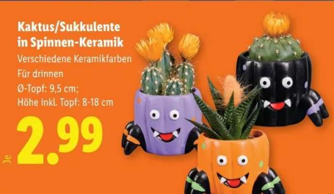 Kaktus/Sukkulente in Spinnen-Keramik