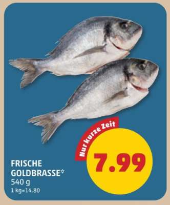 FRISCHE GOLDBRASSE