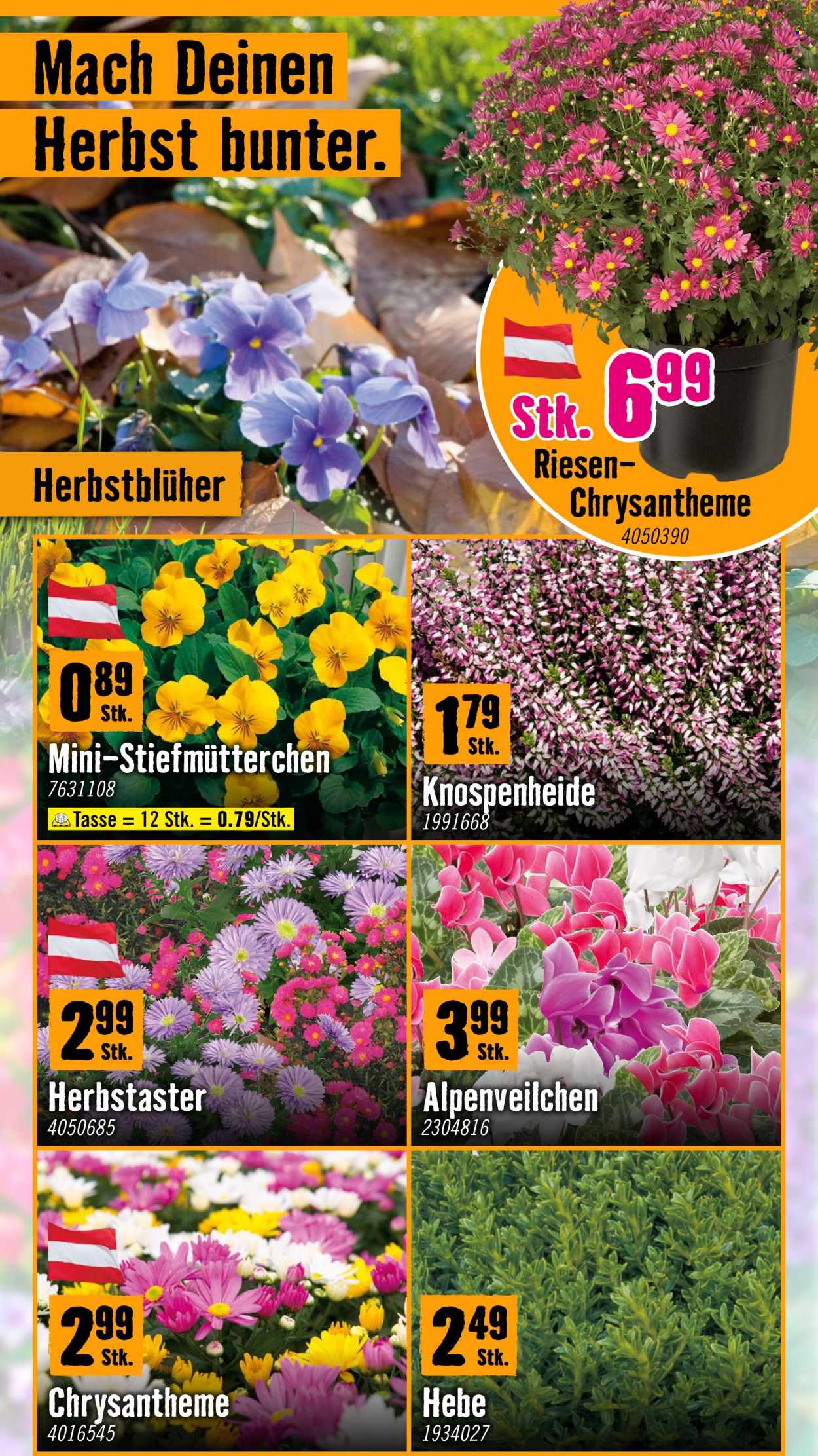 Leták Hornbach - 12.10.2026 - 7.11.2026. Strana 2