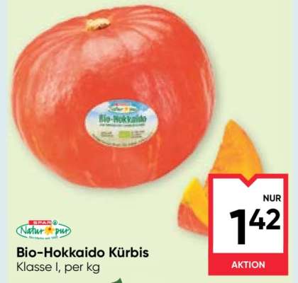 Bio-Hokkaido Kürbis