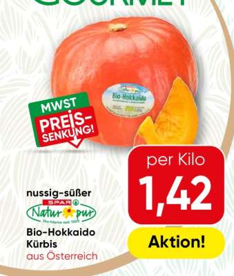 Bio-Hokkaido Kürbis